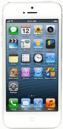Смартфон Apple iPhone 5 64Gb White & Silver - Рязань